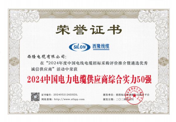 西隆电缆蝉联“2024中国电力电缆十大品牌”双重大奖(图2)