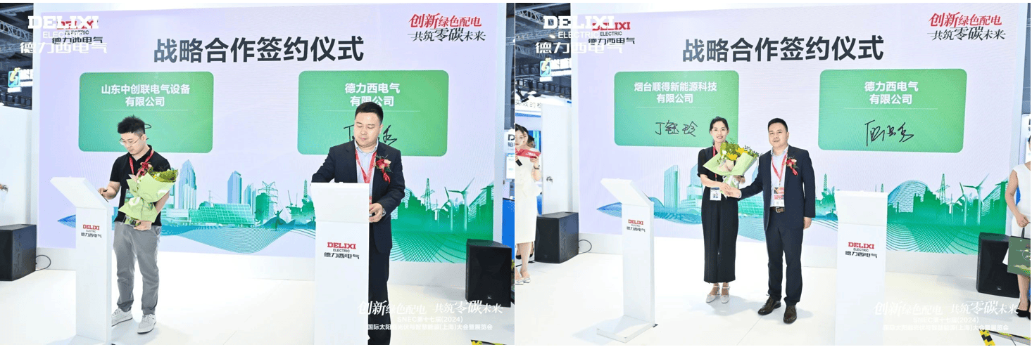 闪耀SNEC2024!德力西电气以实力开启“零碳之旅”(图8)