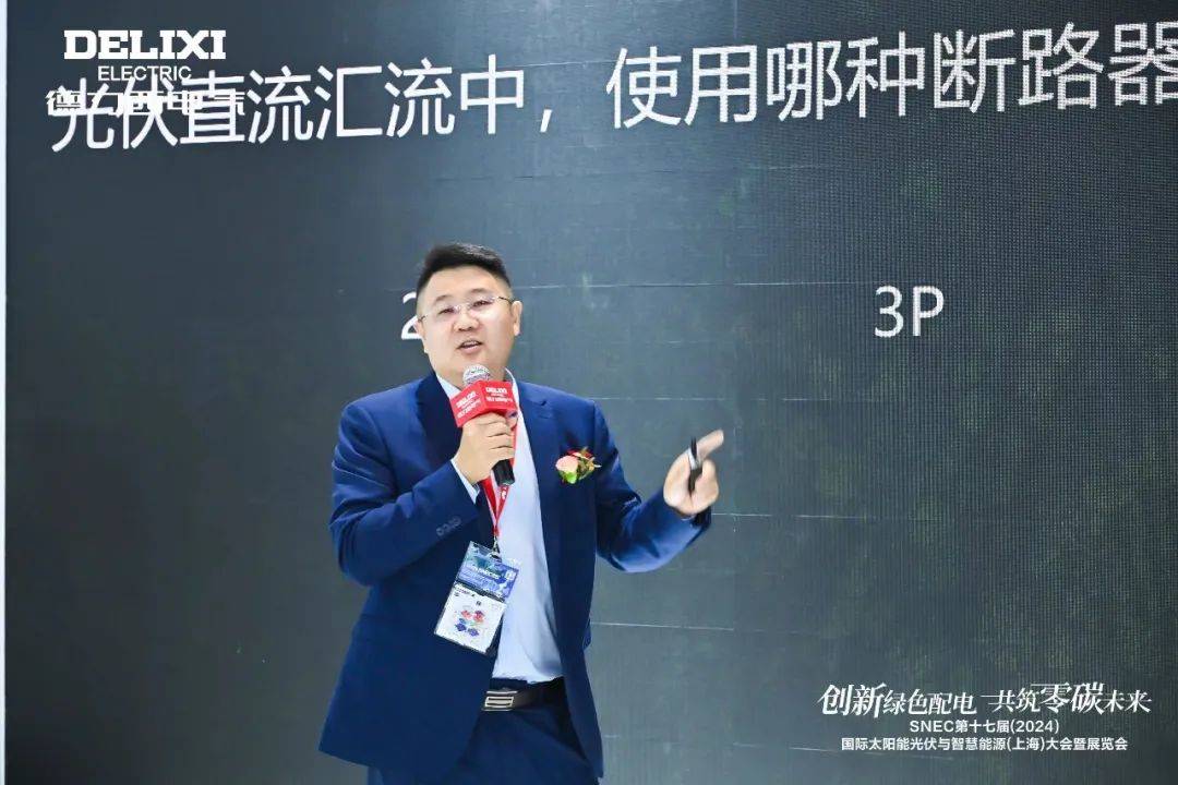 SNEC2024赋能新能源！德力西电气硬核产品解决方案强势出圈(图2)