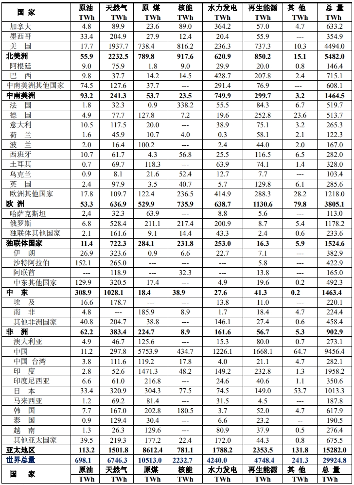 SRWE2024年报告：世界各国电力结构分析(图1)