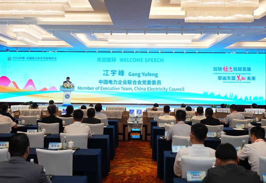 2024中国—东盟电力合作与发展论坛在南宁召开(图1)