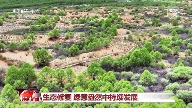 多维度很亮眼！我国绿色发展交答卷(图8)