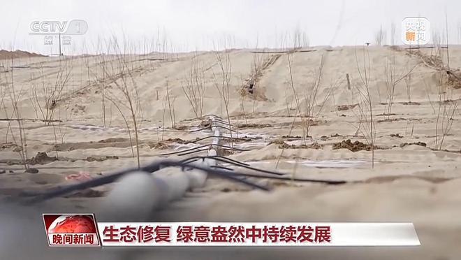 多维度很亮眼！我国绿色发展交答卷(图7)