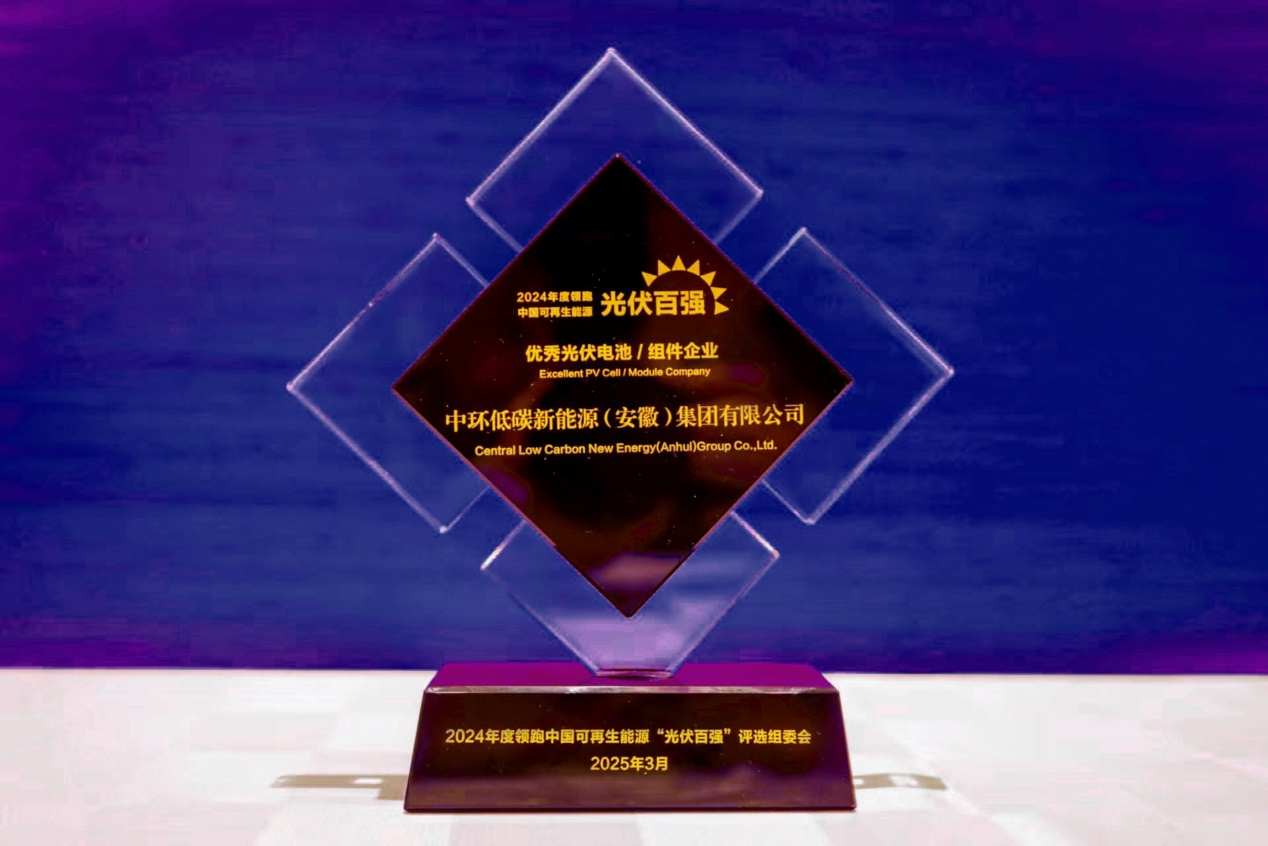中环新能源（01735）荣获“2024年度领跑中国可再生能源‘光伏百强’”奖项(图2)