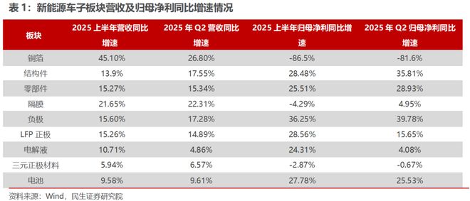 电新行业2025年半年报业绩总结：乘势笃行静待花开【民生电新】(图5)