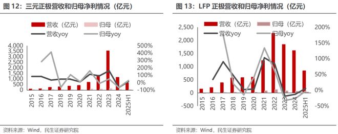 电新行业2025年半年报业绩总结：乘势笃行静待花开【民生电新】(图9)
