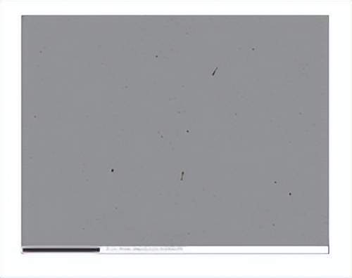 今日电力设备行业情报汇总(2024年8月9日)(图6)